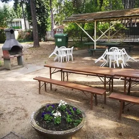 Bed & Breakfast Fenyves Panzio *