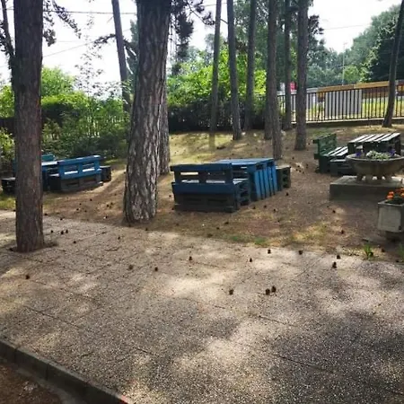 Fenyves * Siófok